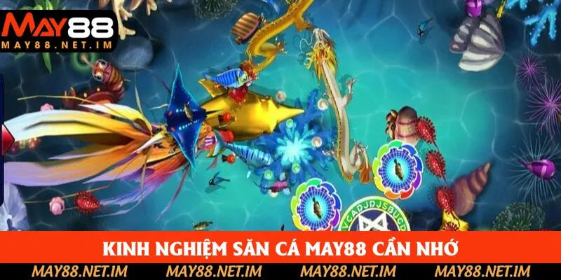 Cách săn mồi bất bại tại nền tảng giải trí May88 Cách săn mồi bất bại tại nền tảng giải trí May88