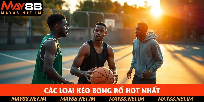 Các thể loại thú vị, hấp dẫn trong cá độ bóng rổ Các thể loại thú vị, hấp dẫn trong cá độ bóng rổ