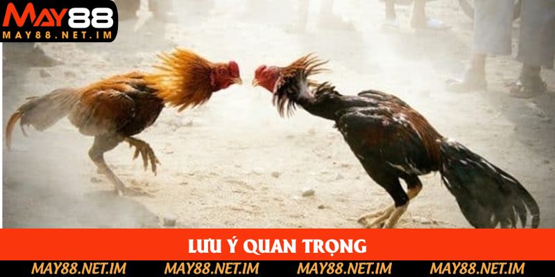 Lưu ý quan trọng Lưu ý quan trọng