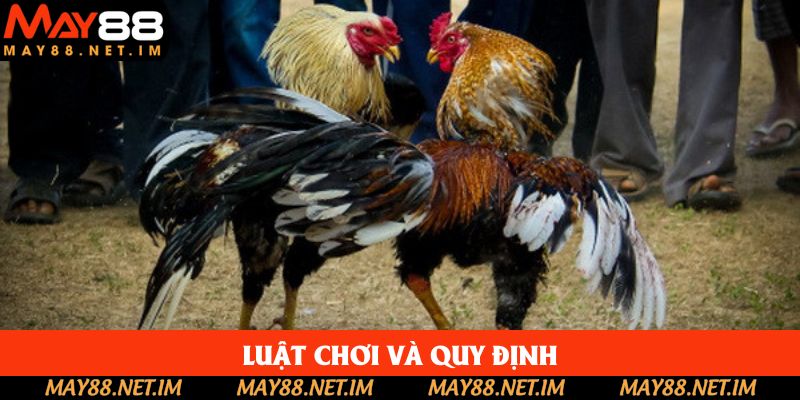 Luật chơi và quy định Luật chơi và quy định