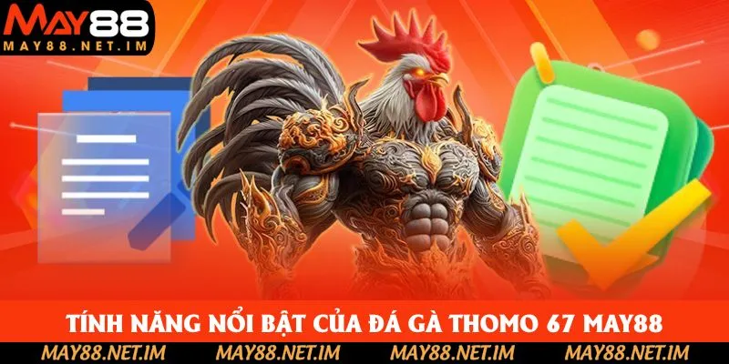 Tính năng nổi bật của đá gà Thomo 67 May88 Tính năng nổi bật của đá gà Thomo 67 May88