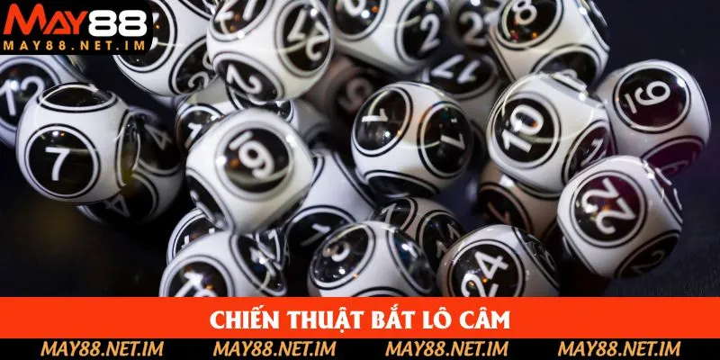 Chiến thuật bắt lô câm đơn giản mà hội viên nên thử Chiến thuật bắt lô câm đơn giản mà hội viên nên thử